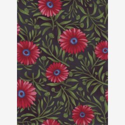 Margueritter p koksgr