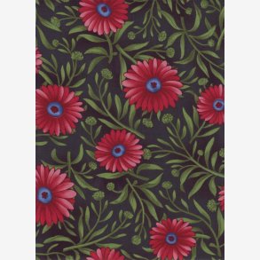 Margueritter p koksgr