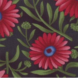 Margueritter p koksgr