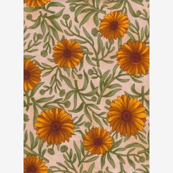 Margueritter p creme