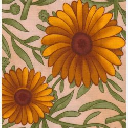 Margueritter p creme