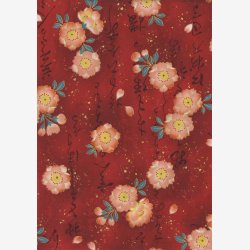 Ferskenfarvede blomster p rd