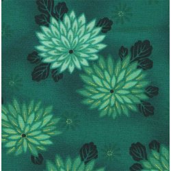 Chrysantemum p blgrn