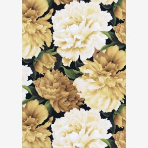 Nelliker - creme/beige