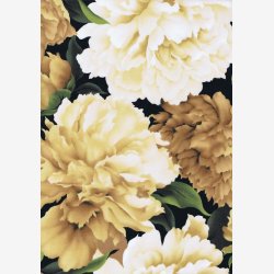 Nelliker - creme/beige