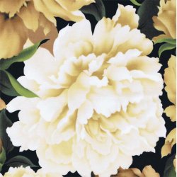 Nelliker - creme/beige