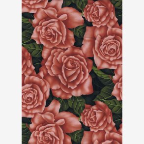 Roser - fersken-/laksefarvet