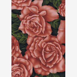 Roser - fersken-/laksefarvet