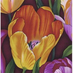 Tulipaner - lilla/gylden