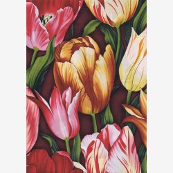 Tulipaner - pink/gul/gylden