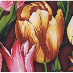 Tulipaner - pink/gul/gylden