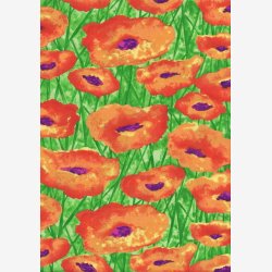 Orange valmuer p grn