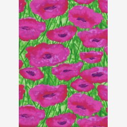 Cyklamen valmuer p grn