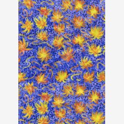 Gul/orange blomster p lys bllilla