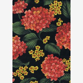 Rde hortensia p sort