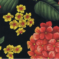 Rde hortensia p sort