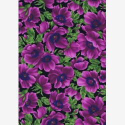 Franske anemoner/lilla