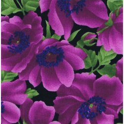 Franske anemoner/lilla