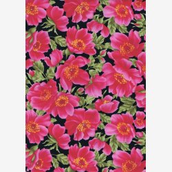 Franske anemoner/cyklamen/pink