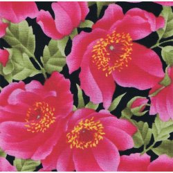 Franske anemoner/cyklamen/pink