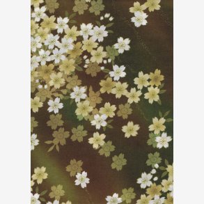 Kirsebrblomster p oliven