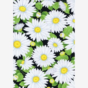 Marguieritter p sort