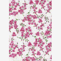 Pink syrener p creme