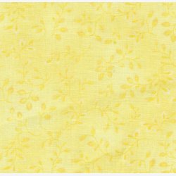 Folio Basics - Butter