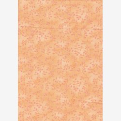 Folio Basics - Peach