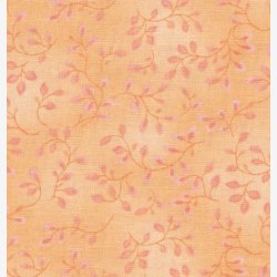 Folio Basics - Peach