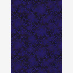 Folio Basics - Royal