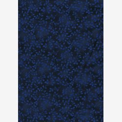 Folio Basics - Spruce