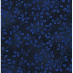 Folio Basics - Spruce