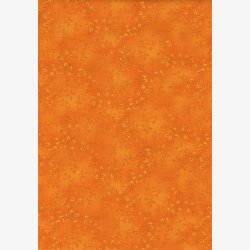 Folio Basics - Orange