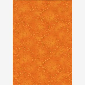 Folio Basics - Orange