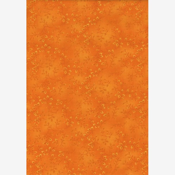 Folio Basics - Orange
