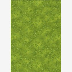 Folio Basics - Early Green