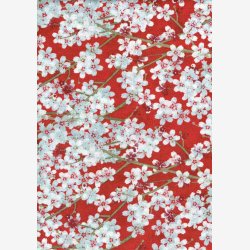 Kirsebrblomster p rd