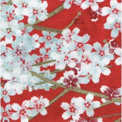 Kirsebrblomster p rd