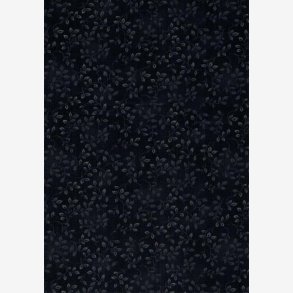 Folio Basics - Black