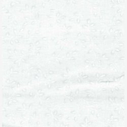 Folio Basics - White on White