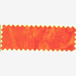 BeColourful - Birds of Paradise