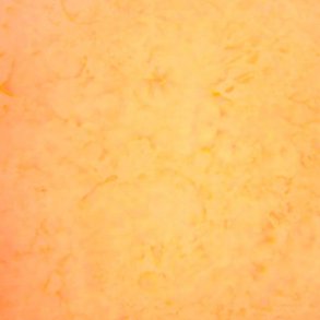 Hoffman batik - Tutti Frutti