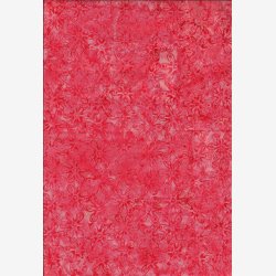 Daisy Emblems - coral