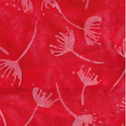 Dream - Swept away Blush