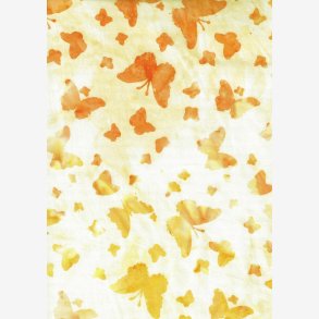 Fairy Dance -  Butterflies Sherbert