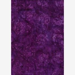 Purple Princess - Dandelion Plum