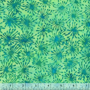 QE5 Delight - Cells Lagoon