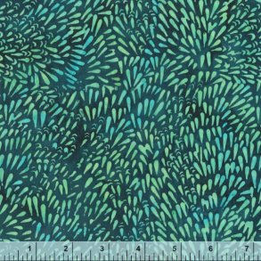 QE5 Delight - Rain Aruba