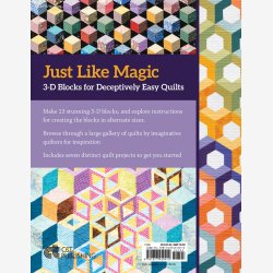 3-D Magic! Simple Blocks, Striking Quilts